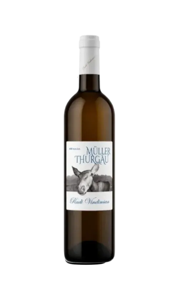 Vino Vindimian